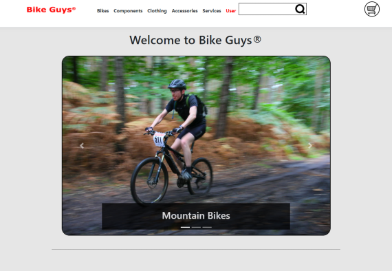 Screenshot from Bike Guys® store